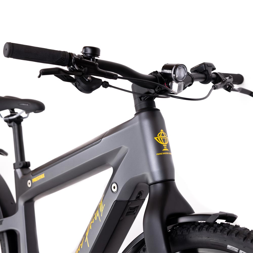 Kneissl Design Carbon Urban Prestige